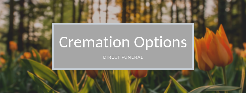 Direct cremation banner