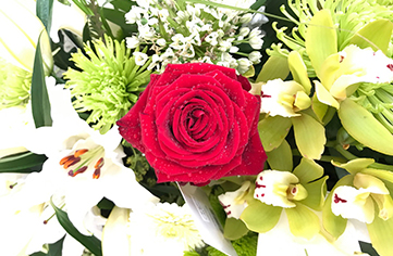 Red rose in amongst green flowers