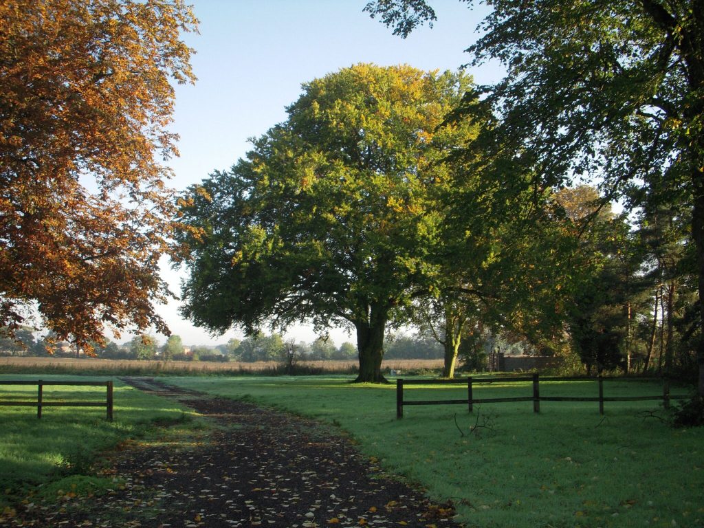 Natural Burial- Woodlands