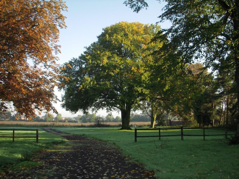 Cost Of Woodland Burial Uk